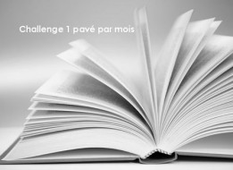 challenge-un-pavc3a9-par-mois