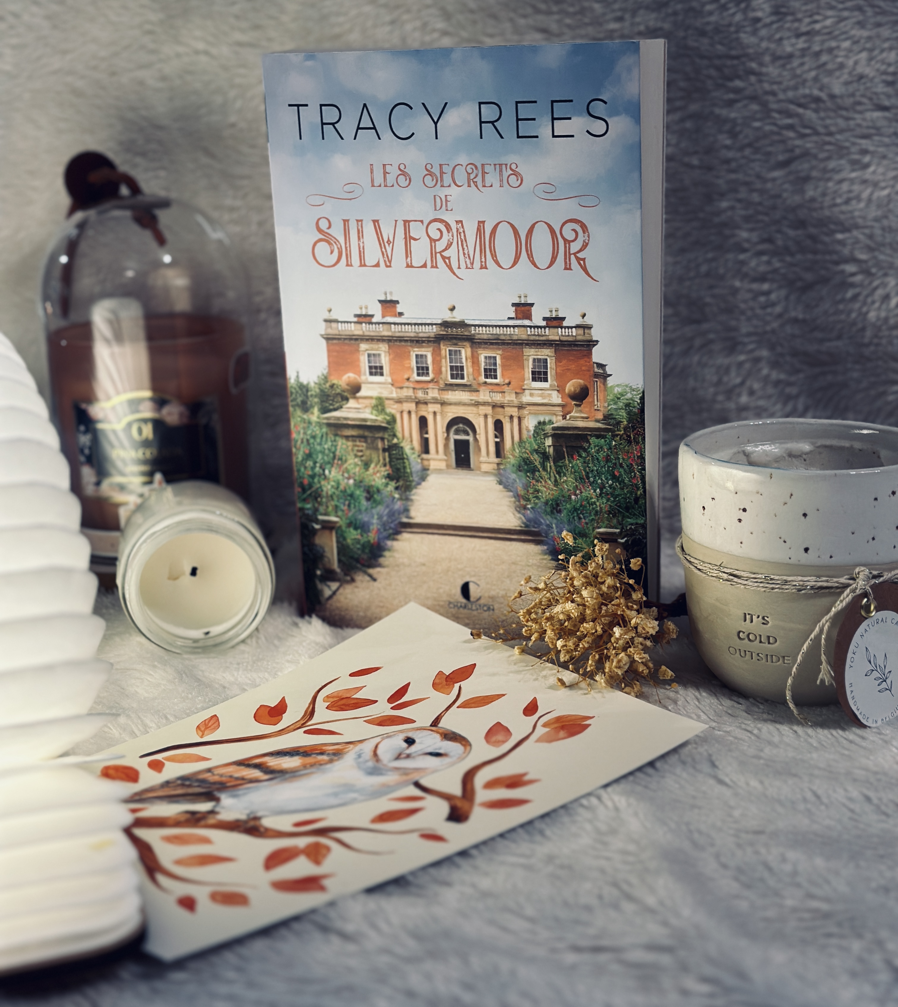 secrets Silvermoor Tracy Rees